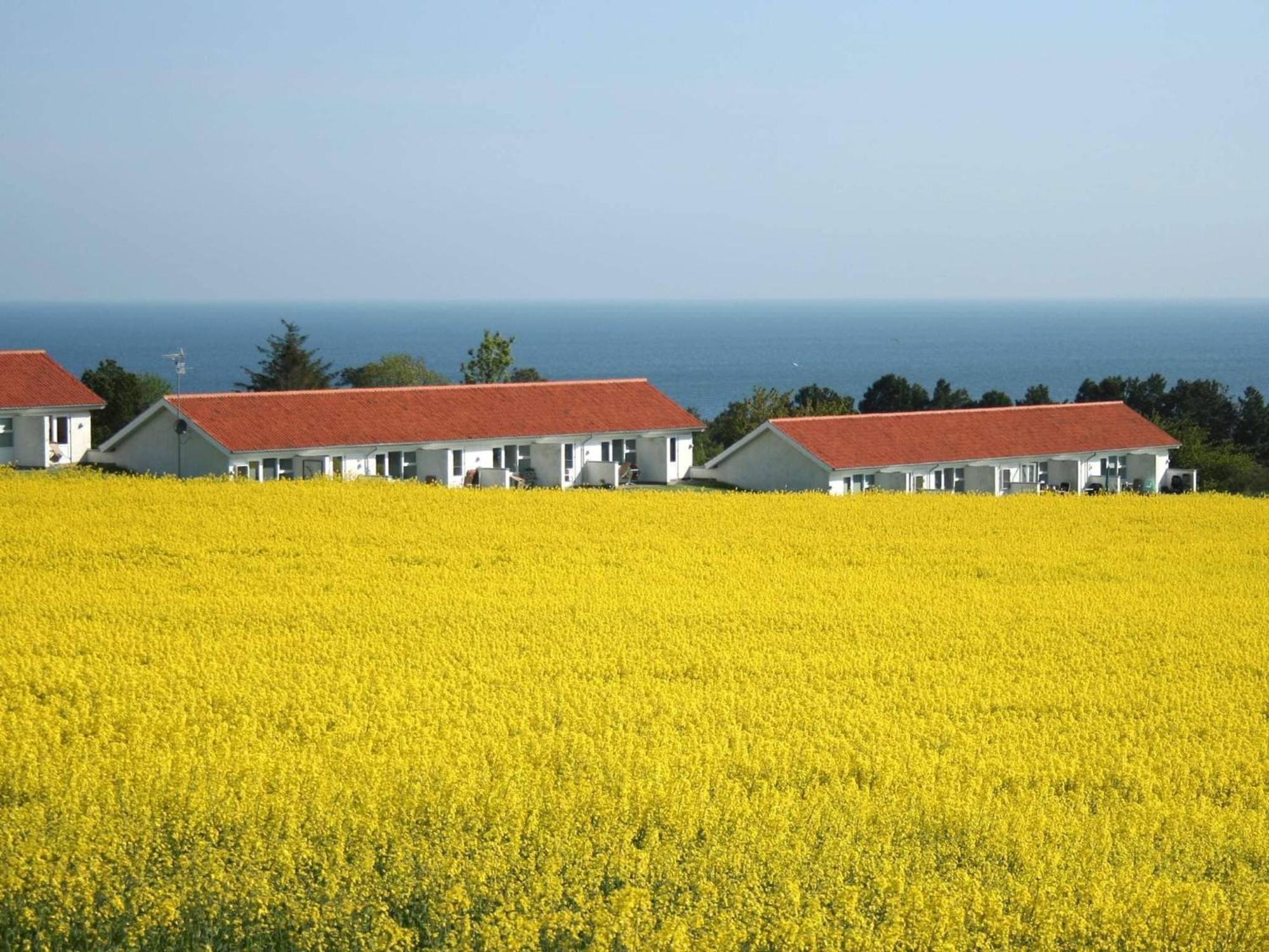 2 Person Holiday Home In Allinge ภายนอก รูปภาพ